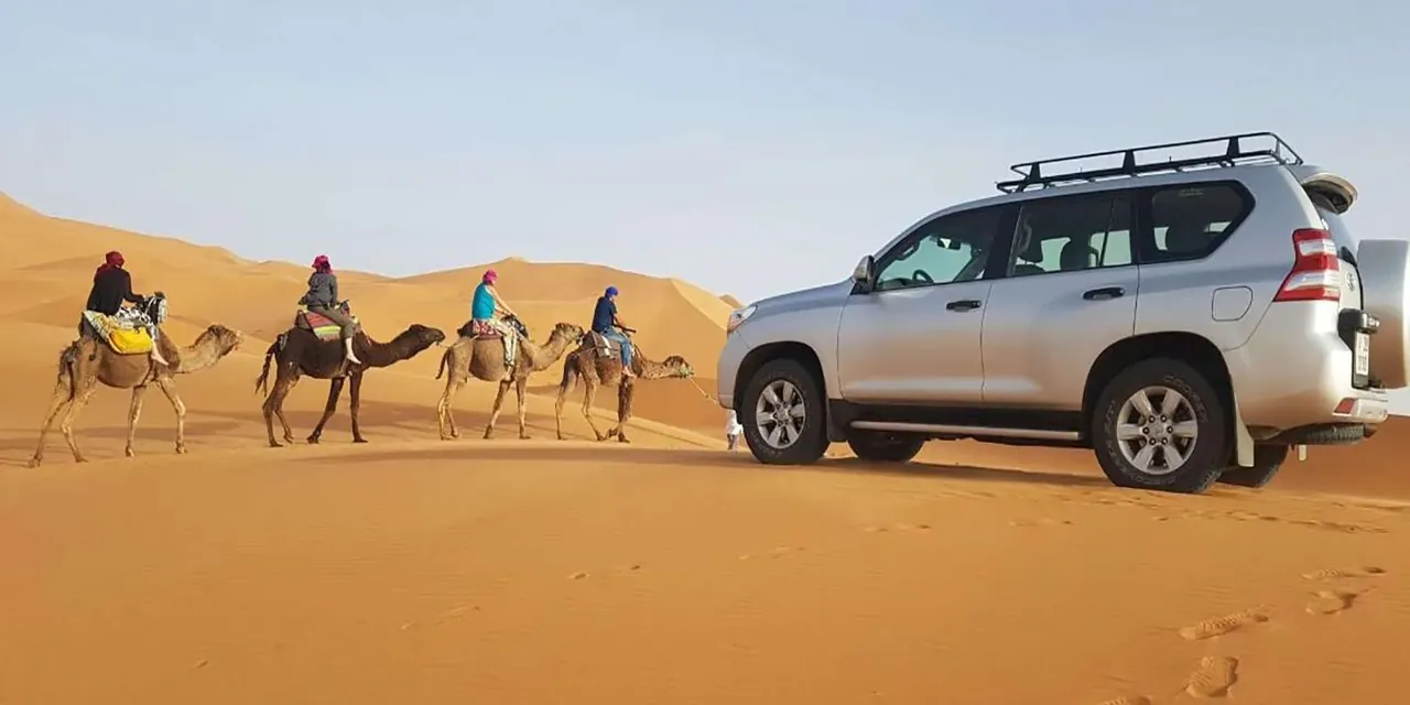 Camel caravan and 4x4 crossing golden dunes on a desert day trip from Agadir