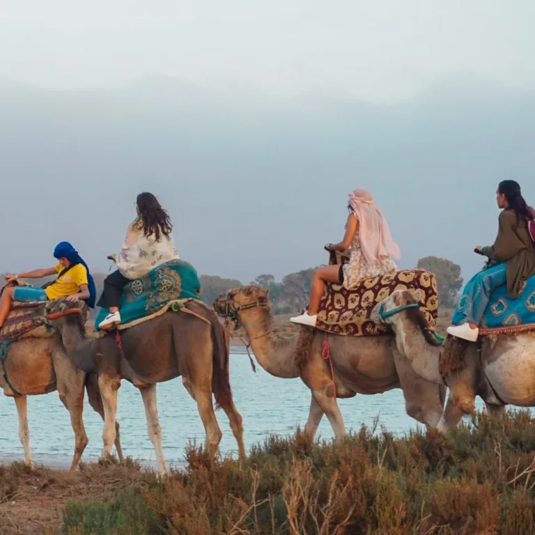 Camel Ride from Taghazout: Sunset, Tea and Back for Dinner in Agadir, Morocco