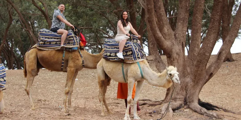 Camel Ride from Taghazout: Sunset, Tea and Back for Dinner in Agadir, Morocco
