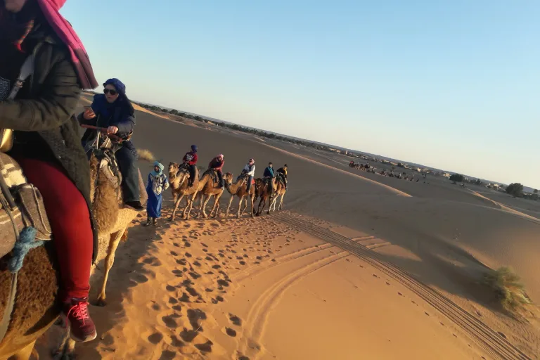 Camel Ride and Sunset Barbecue from Taghazout in Agadir, Morocco