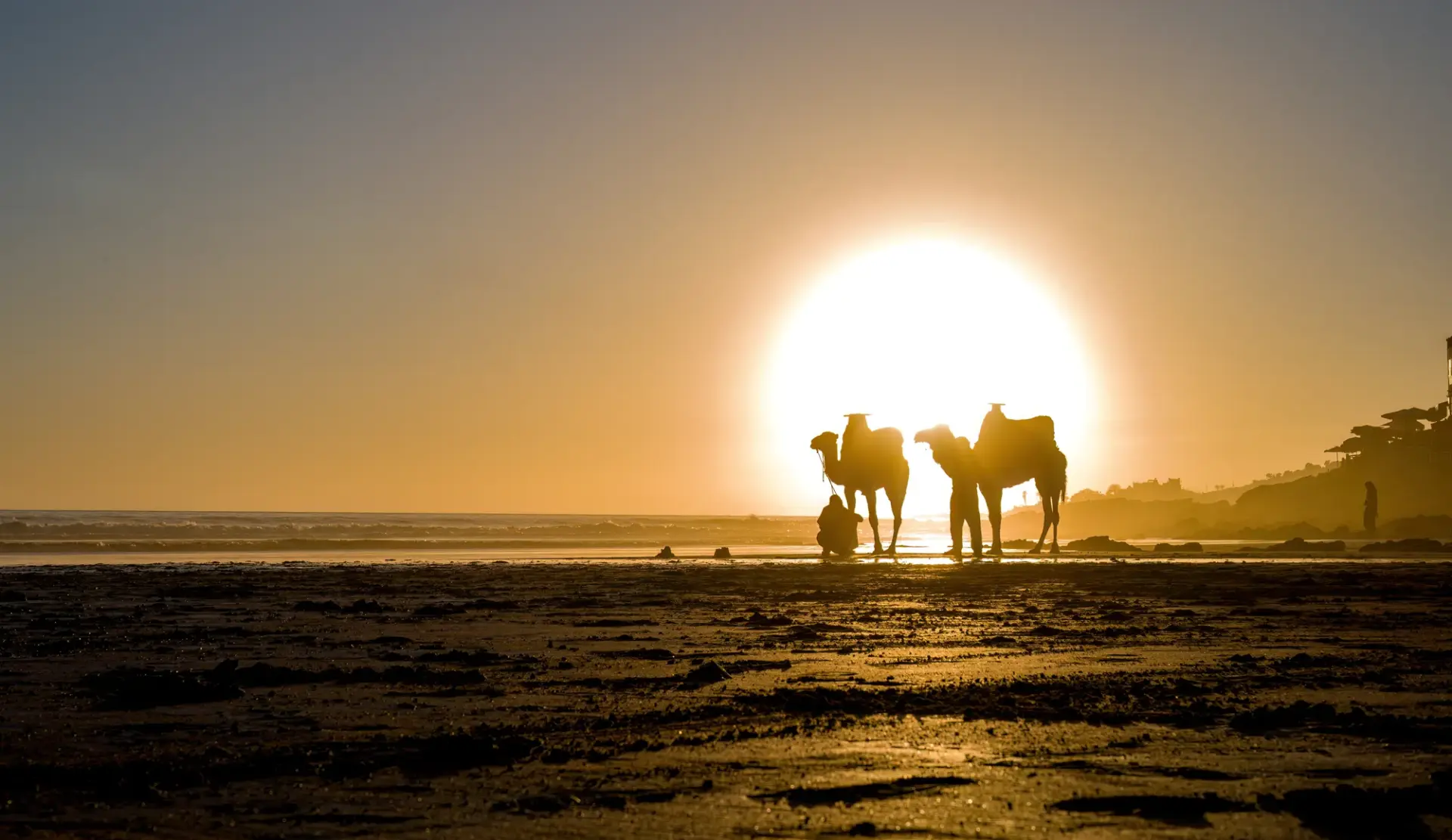 Camel riders silhouetted against the sunset on the beach near Agadir, Morocco