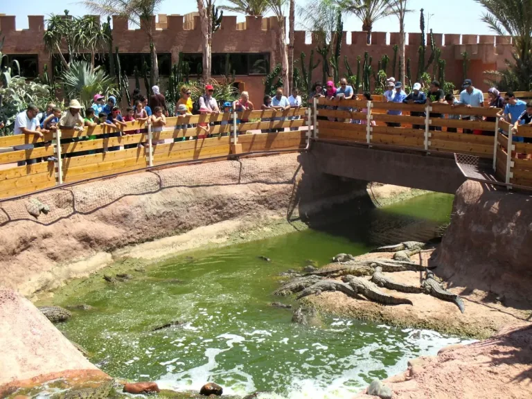 Crocoparc Agadir: Nile Crocodiles, Gardens and a Baby Nursery in Agadir, Morocco