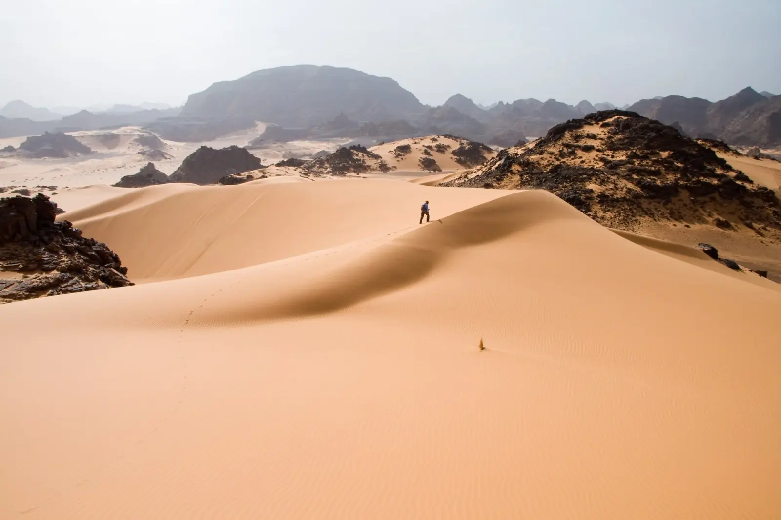 A white 4x4 vehicle climbing a golden sand dune under a clear Moroccan sky