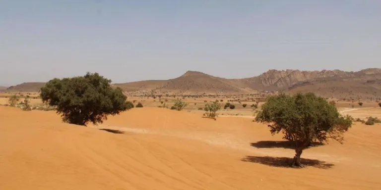 Mini Sahara from Taghazout: A Day South, Then Back to the Surf in Agadir, Morocco