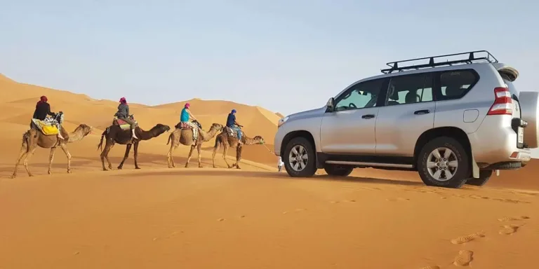 Mini Sahara from Taghazout: A Day South, Then Back to the Surf in Agadir, Morocco
