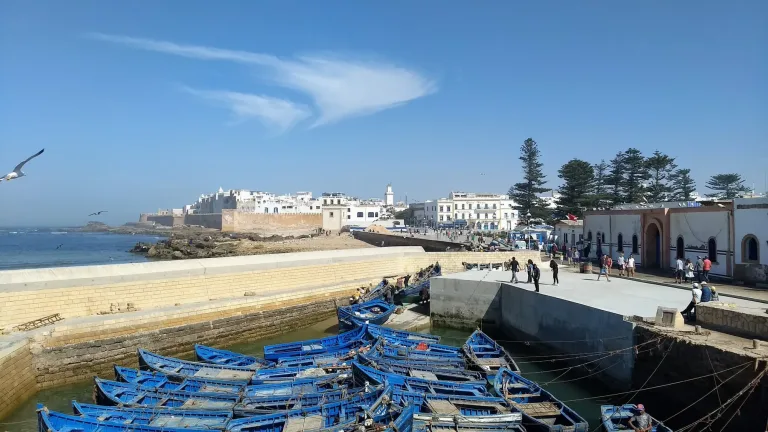Essaouira Day Trip: A Full Day in the Windy Port Town in Agadir, Morocco