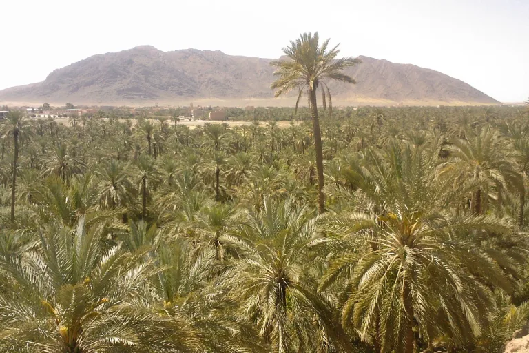 Hidden Paradise by Jeep: Natural Pools in the Idaoutanan Mountains in Agadir, Morocco