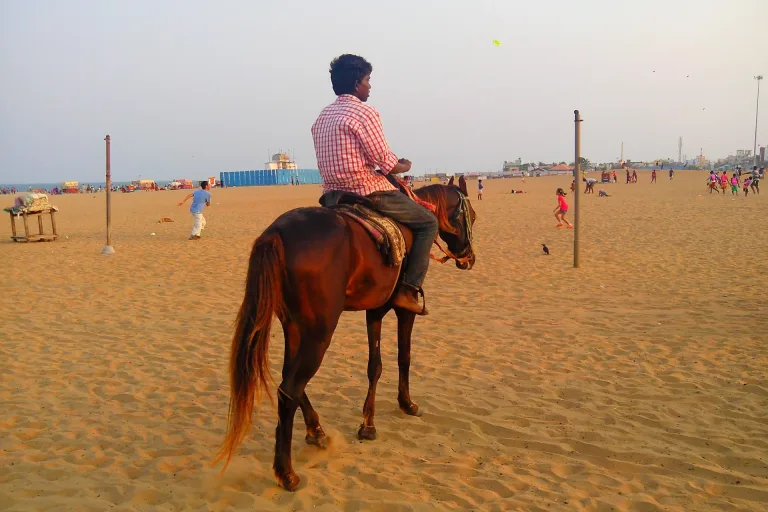 Agadir Horse Riding On The Beach in Agadir, Morocco