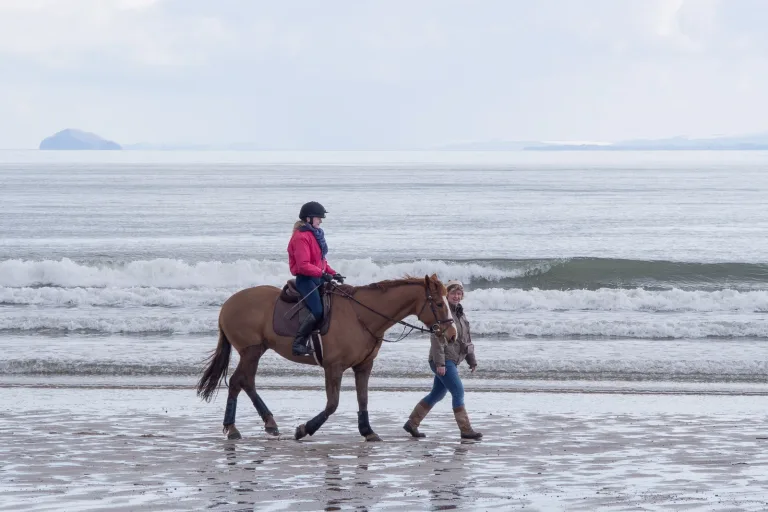 Agadir Horse Riding On The Beach in Agadir, Morocco