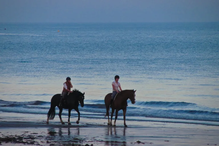 Agadir Horse Riding On The Beach in Agadir, Morocco