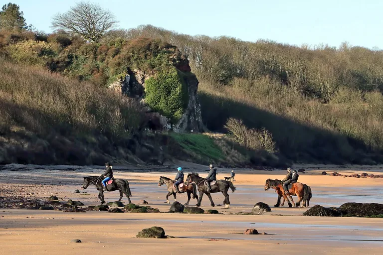 Agadir Horse Riding On The Beach in Agadir, Morocco