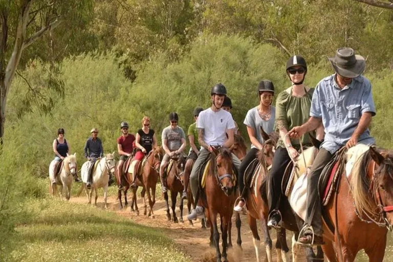 Agadir Horse Riding: An Hour Along the Sand and Coast Trails in Agadir, Morocco