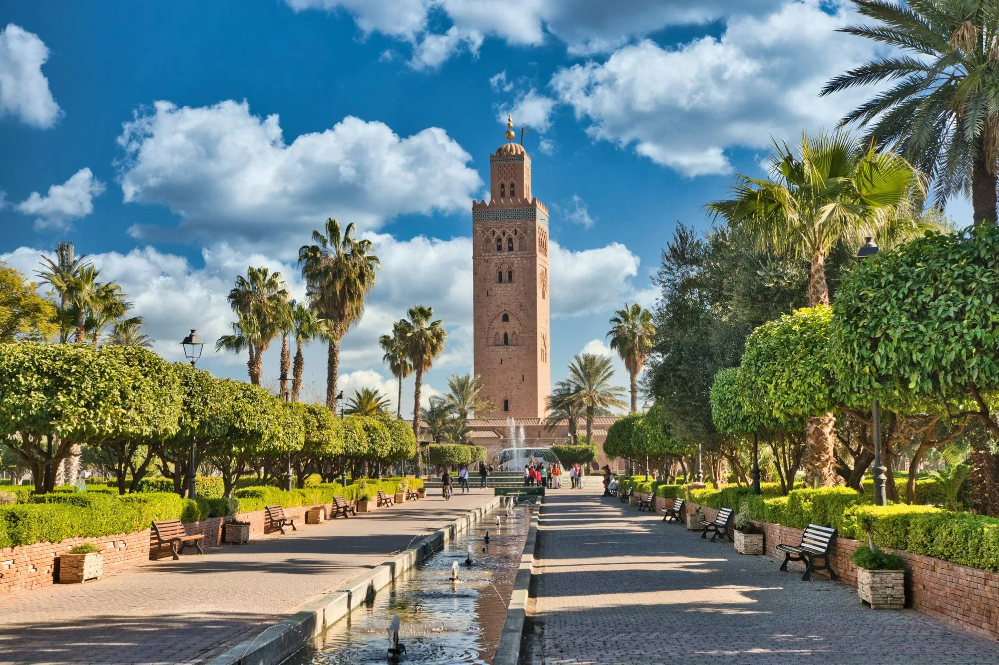 Marrakech rooftops on a long day trip from Agadir