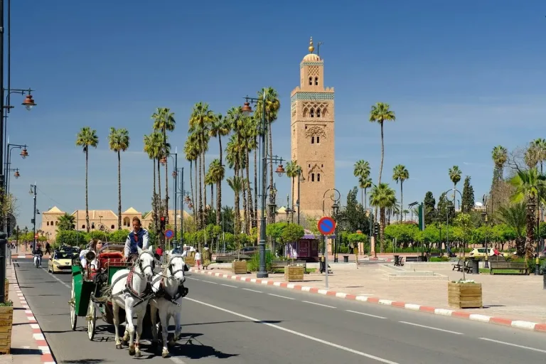 Marrakech in a Day: Medina, Jemaa el-Fnaa and the Souks in Agadir, Morocco
