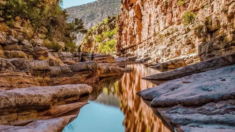 Paradise Valley from Taghazout: Leave the Surf and Swim in the Gorge in Agadir, Morocco