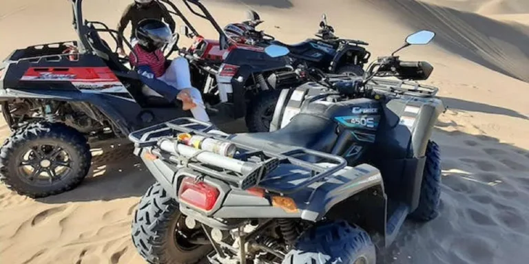 Agadir Quad Biking: Argan Forest and Berber Village Ride in Agadir, Morocco