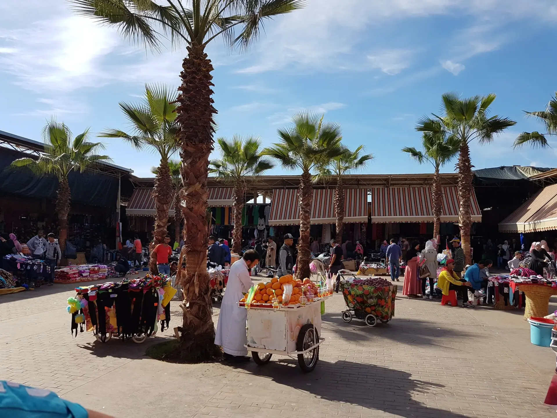 Stalls and palm trees at Souk El Had market in Agadir