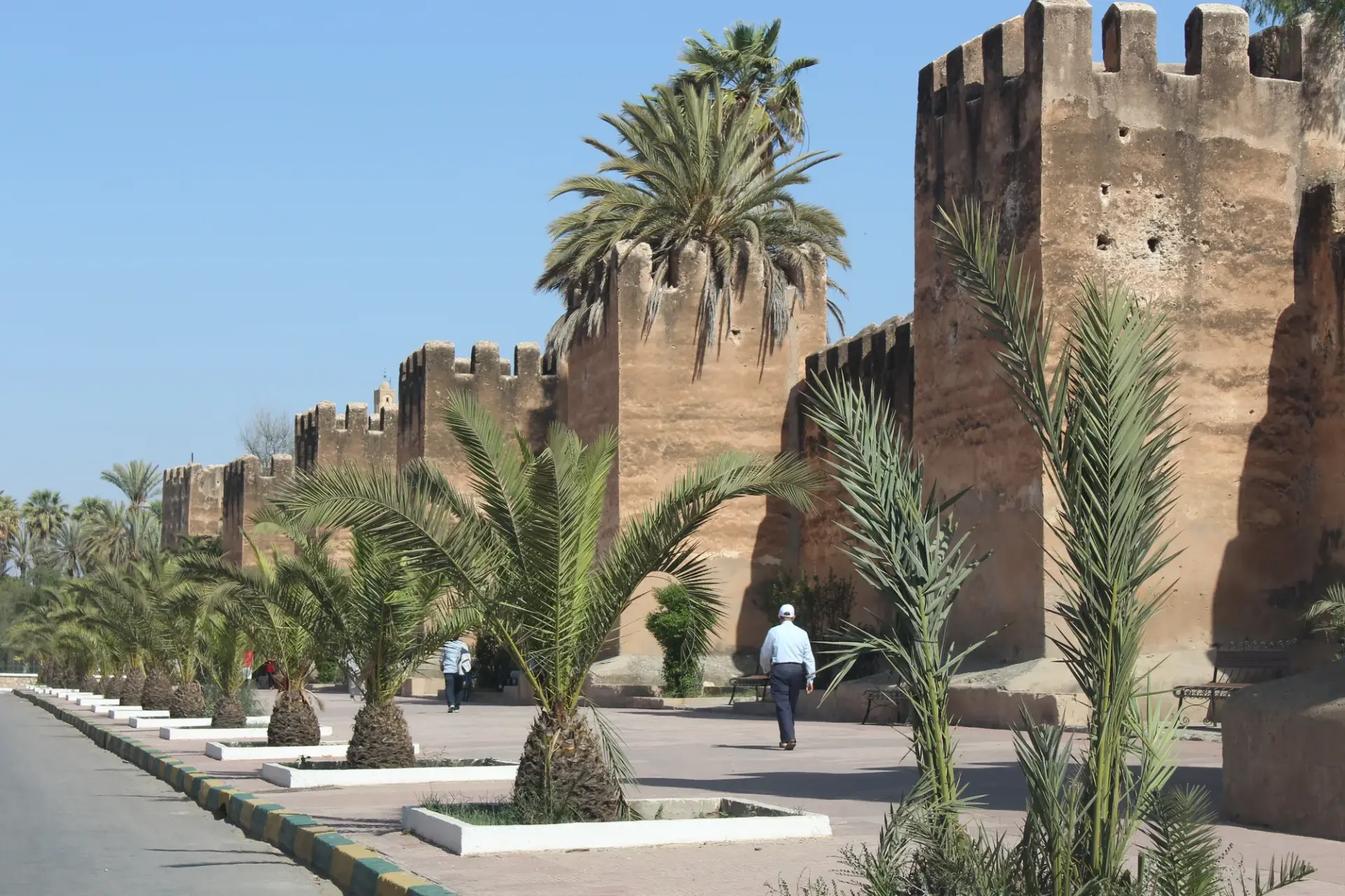 The ochre ramparts and palm trees of Taroudant, Morocco