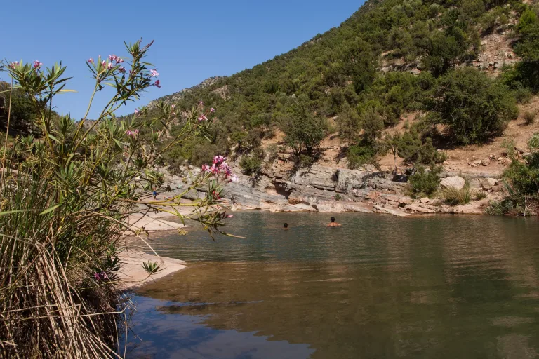 Tizgui Valley Walk from Taghazout: Palm Gorges on Foot in Agadir, Morocco